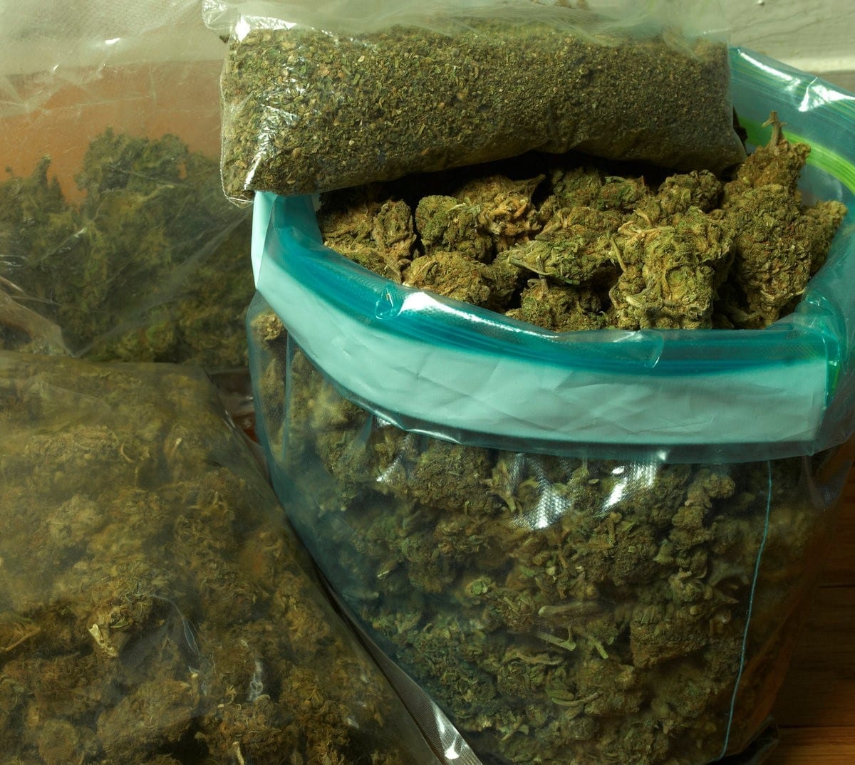 Mexican Cartel Drug Trafficking Decreases Colorado s Increases
